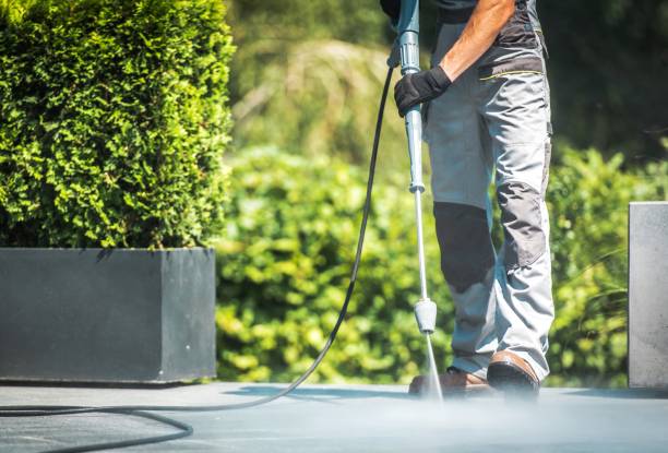 Best Boat and Dock Cleaning  in Urania, LA